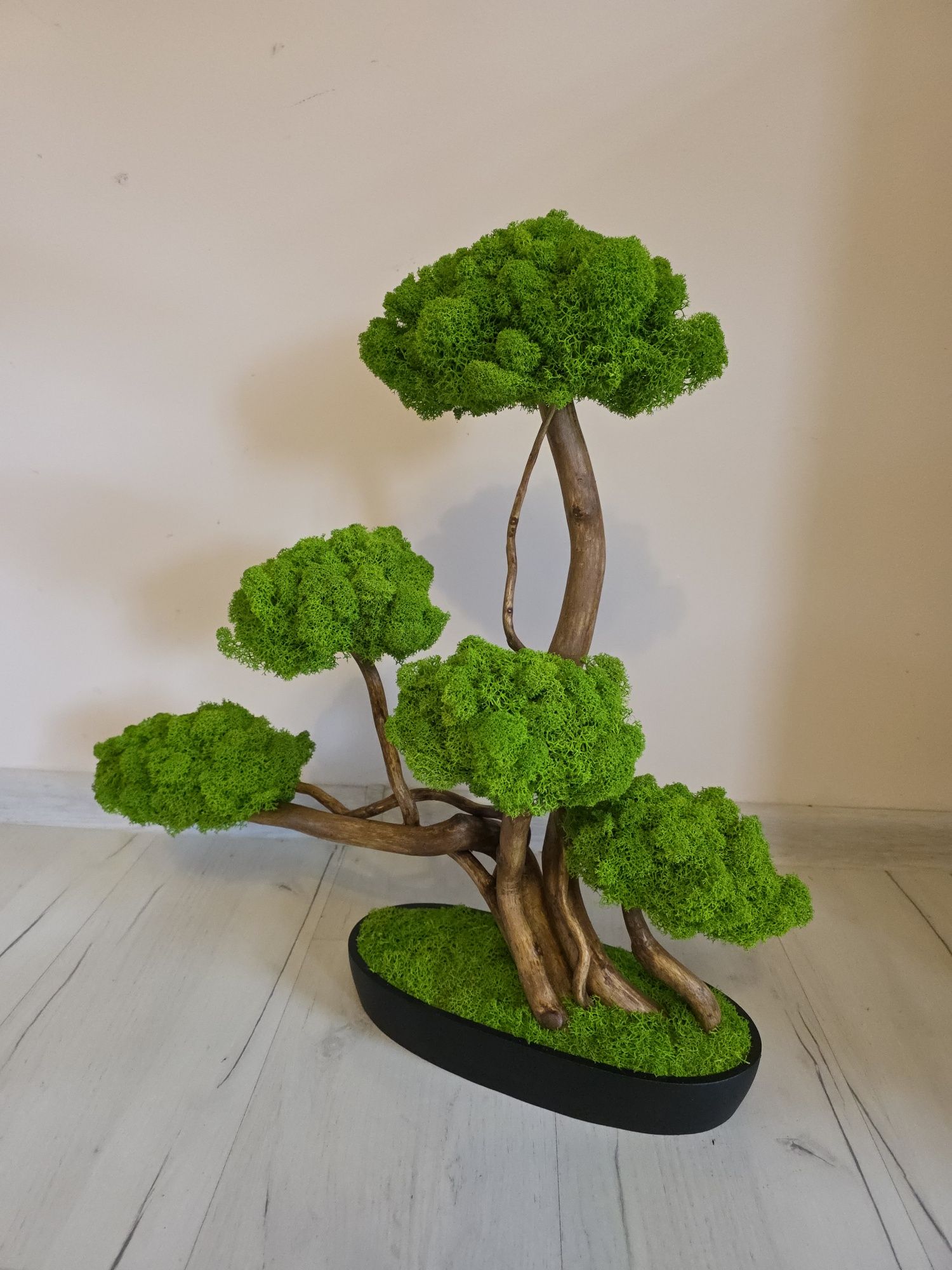 Drzewko bonsai Duże 50 cm.Mech Chrobotek. Dekoracje wnętrz. Prezent .