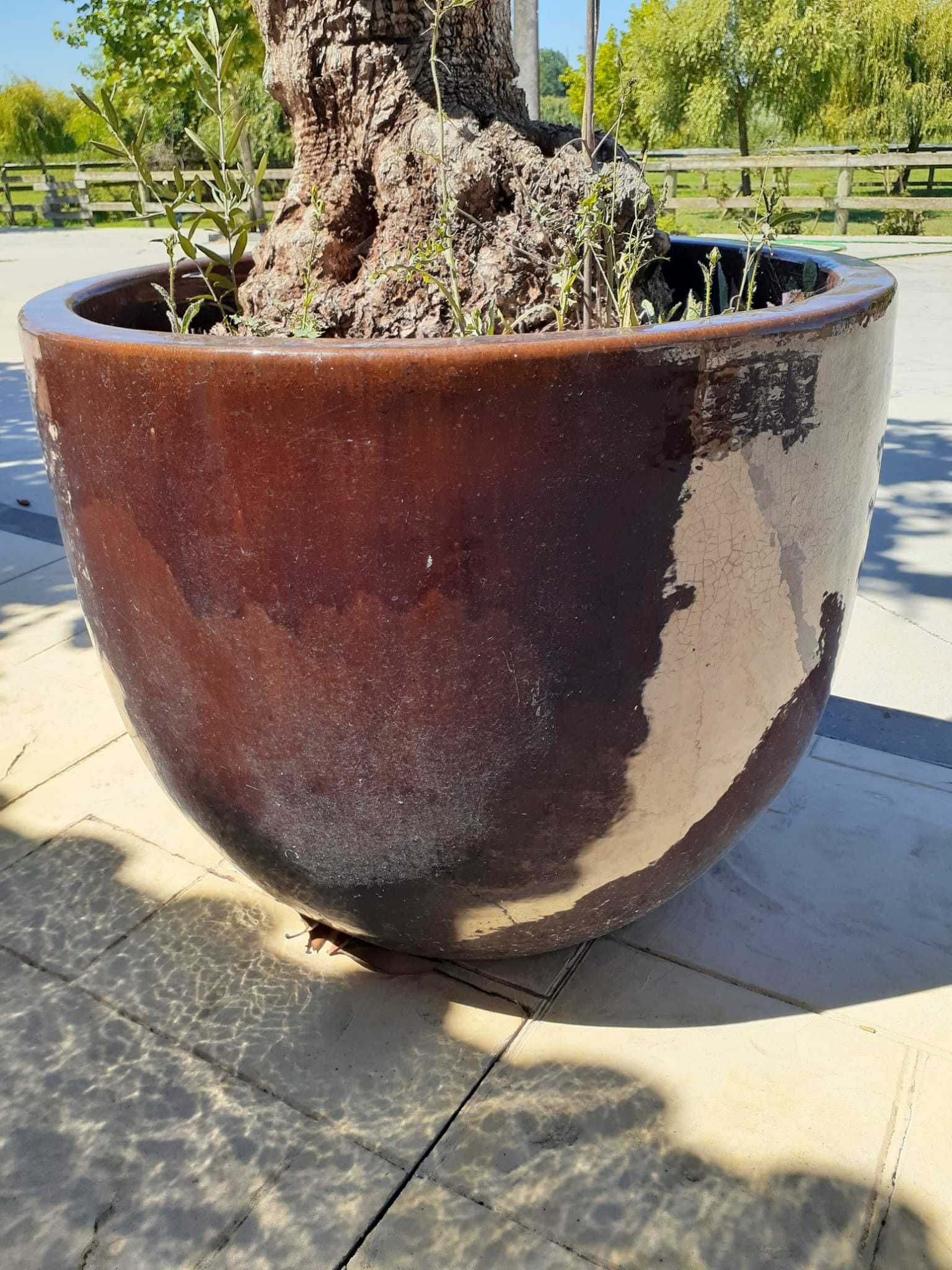 Vaso de Cerâmica – Ideal para Oliveiras
