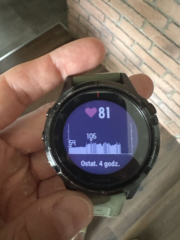 Garmin Fenix 5 Plus Saphire