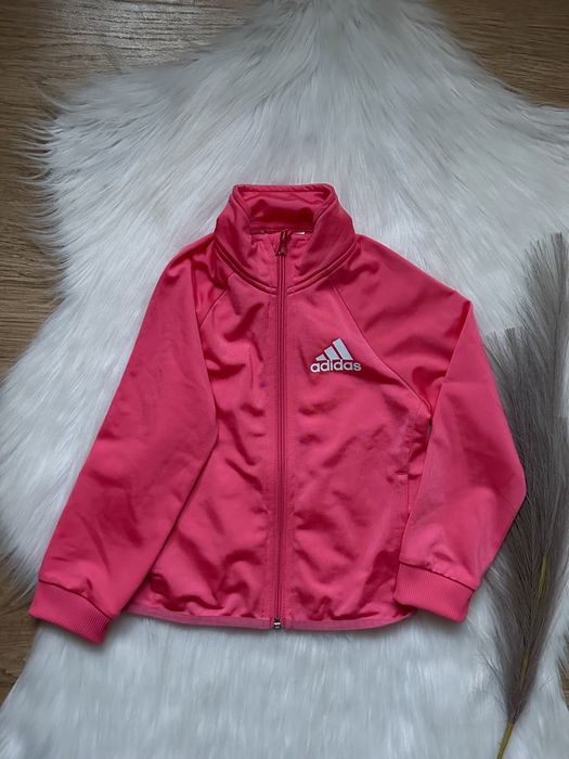 Bluza 116 Adidas