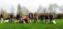 Dog-Training - Escola de cães de Caldas da Rainha e da Região Oeste
