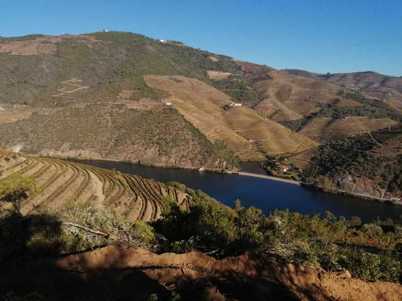 Quinta do Grilo - Alto Douro