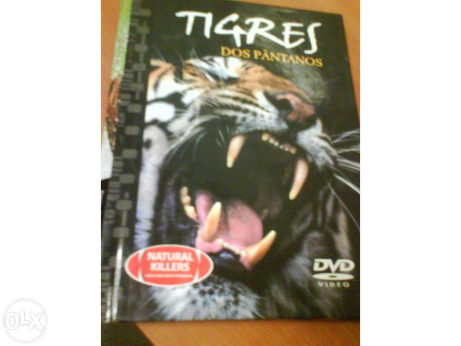 Tigres dos Pântanos - DVD