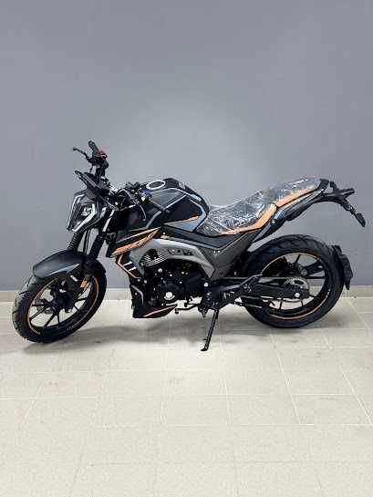 Мотоцикл Musstang Region ST 200
