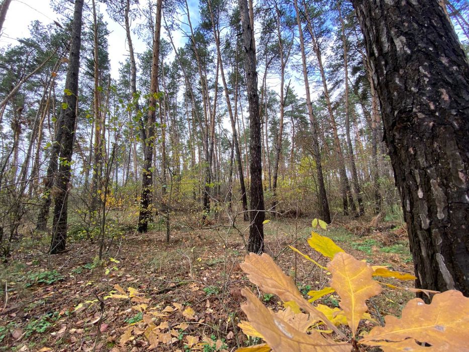 Земля для будівництва 30 сот, під лісом. Передмістя Черкас Геронимівка