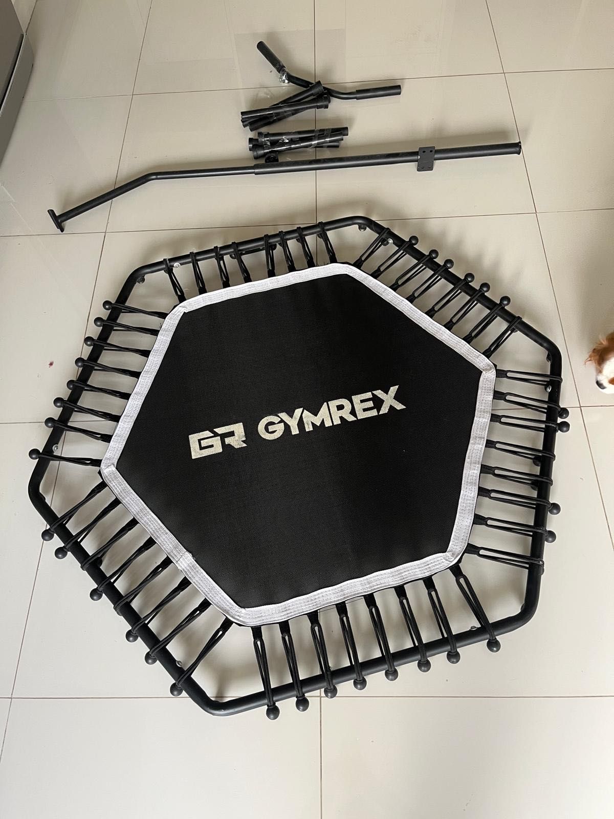 Trampolim Gymrex Fitness
