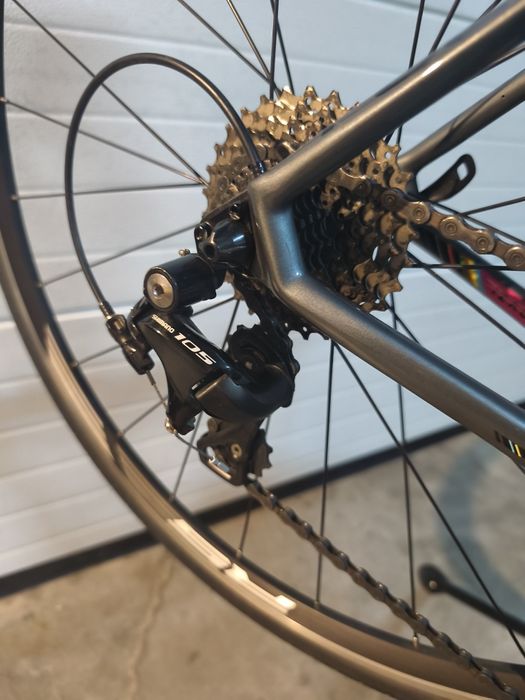 Focus IZALCO RACE 2019