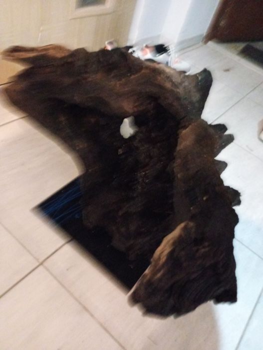 Korzeń do akwarium XXL 20kg !!!