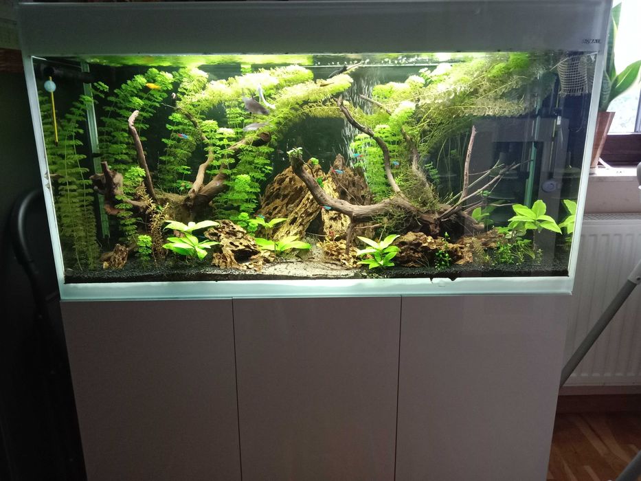 Akwarium aquael glossy 260l