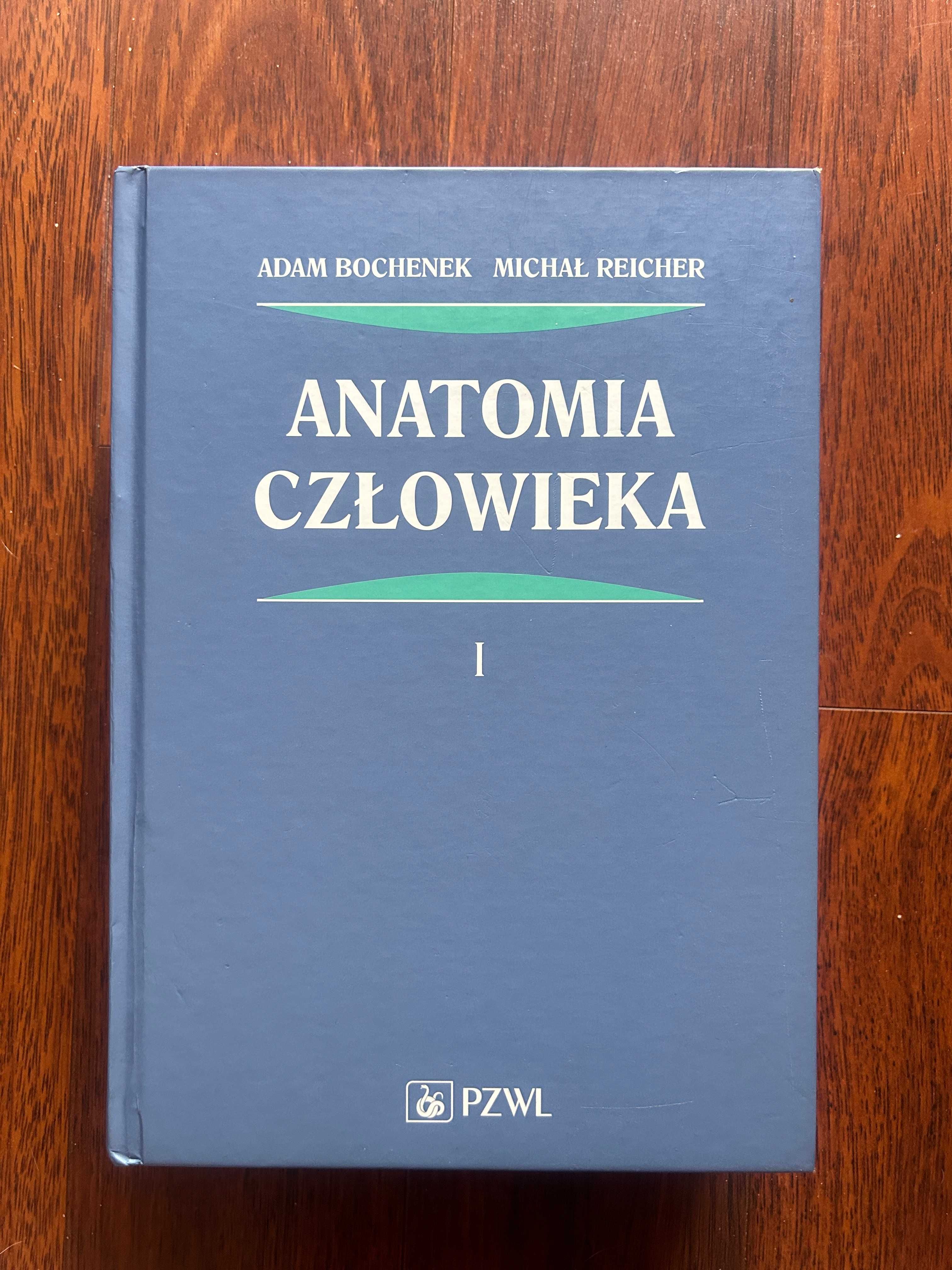 Anatomia człowieka A. Bochenek TOM 1