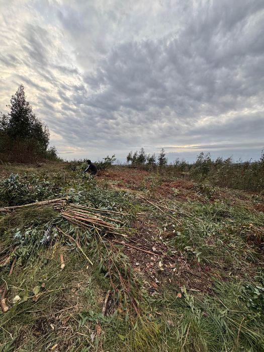 Vendo Terreno Canedo