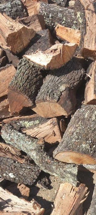 Lenha - Castro Verde - Aljustrel - Almodôvar - Ourique