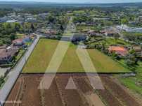 Terreno em Macinhata do Vouga - Águeda