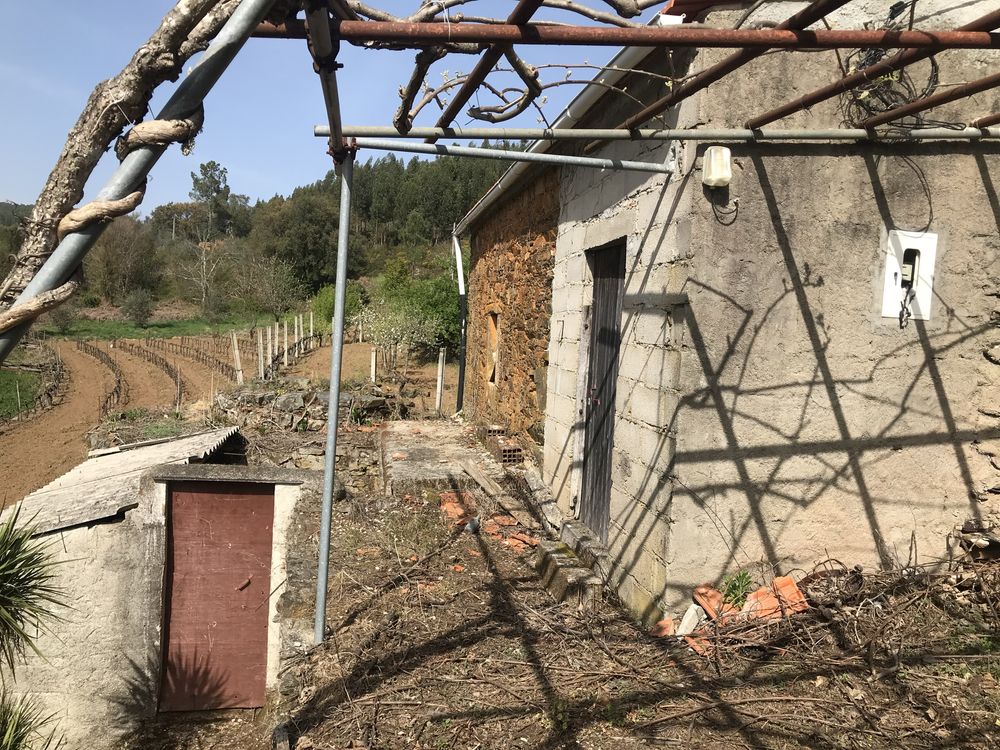 Terreno rústico com casa/adega