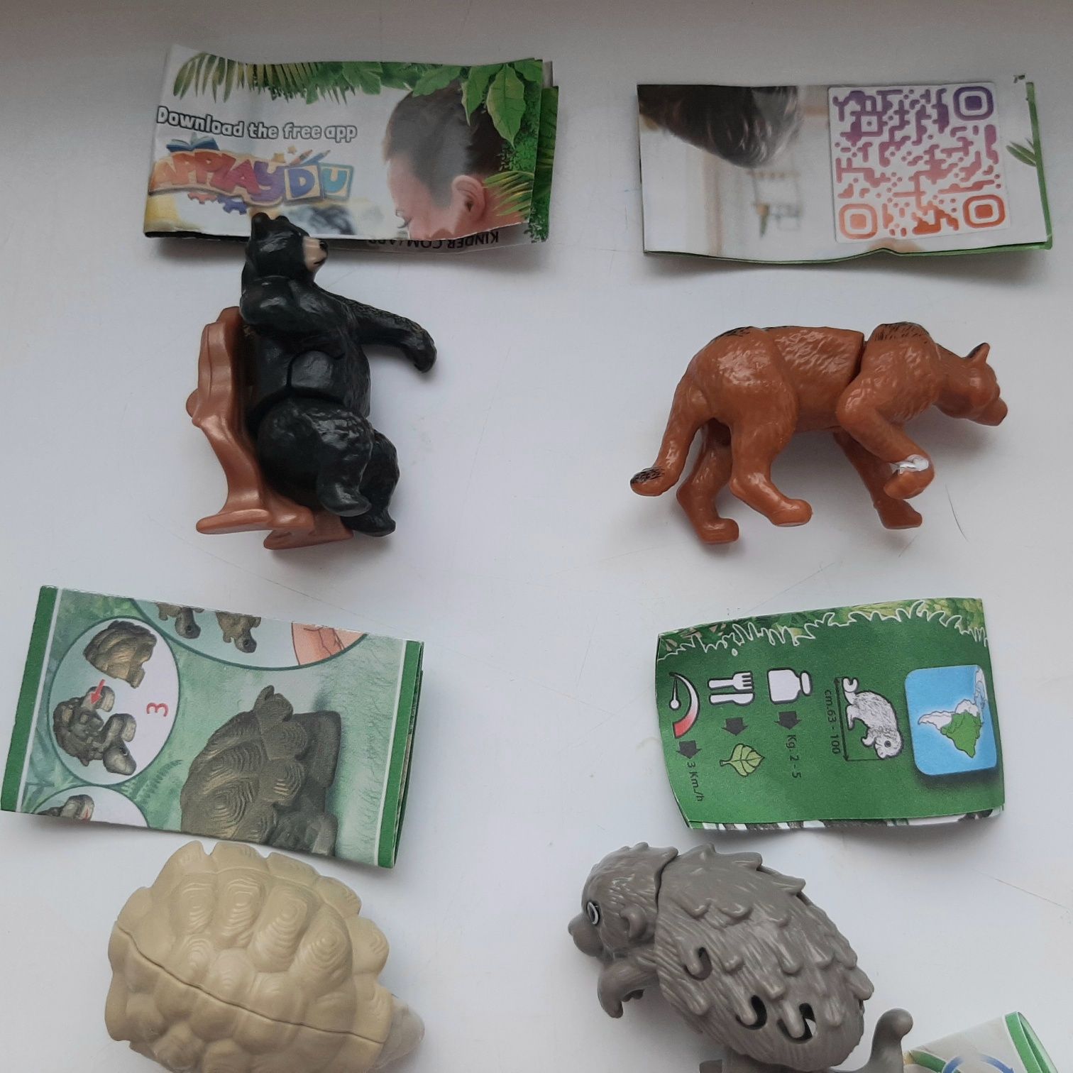 Кіндер kinder  тварини natuns панда черепашки рись ведмідь