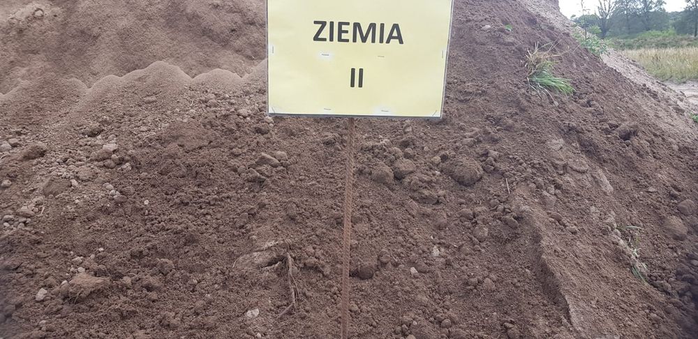 Ziemia pod trawnik,  ogródek,  tuje,  drzewka