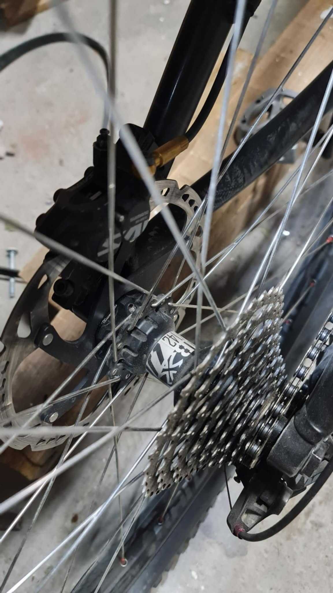 Dartmoor Hornet 2021 custom M