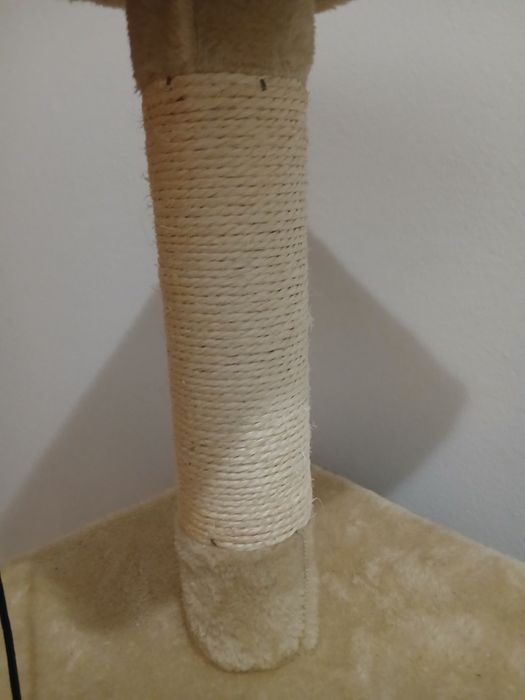Arranhador de gatos
