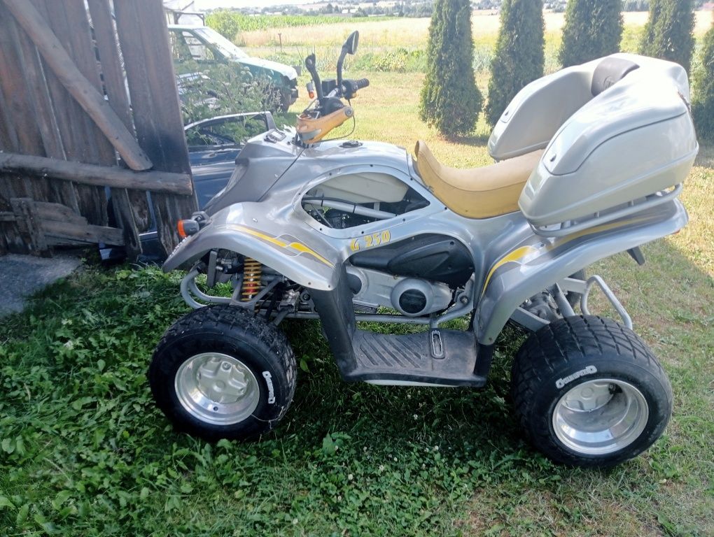 Quad Piaggio Brif