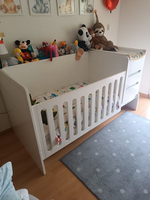 Berço Medular Trama