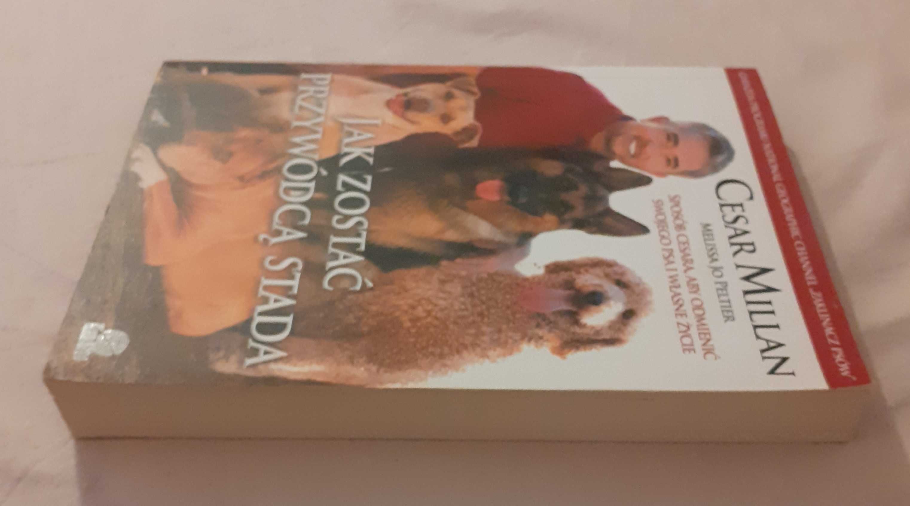 Jak zostać przywódcą stada Cesar Millan