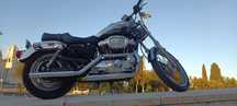 Harley-Davidson Sportster HARLEY DAVIDSON SPORTSTER 1200 centenário 2003 - edição limitada rara