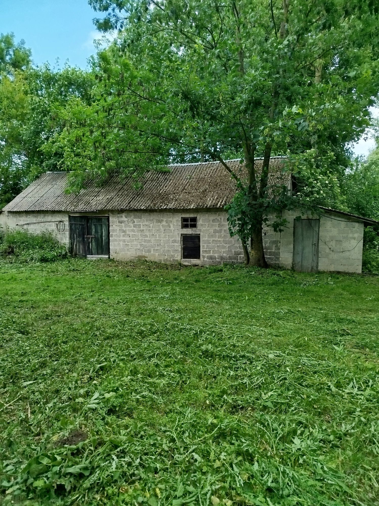 Sprzedam dom murowany z działką 30 arów