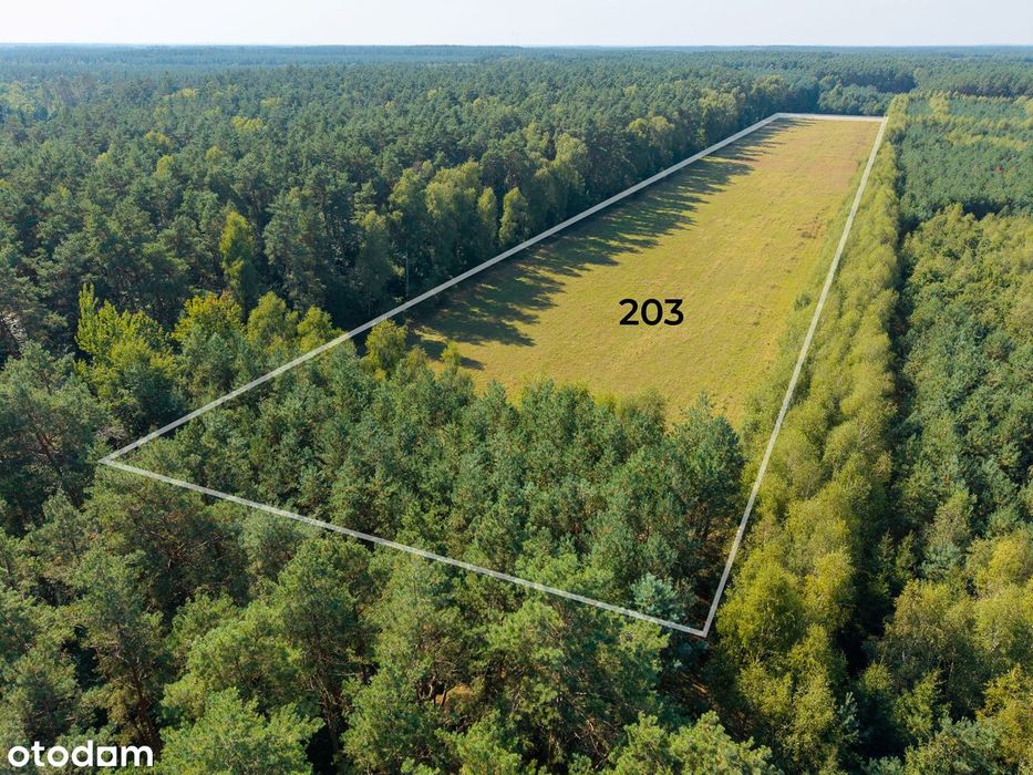 Wielka działka budowlana otoczona lasami pod rezydencję lub siedlisko