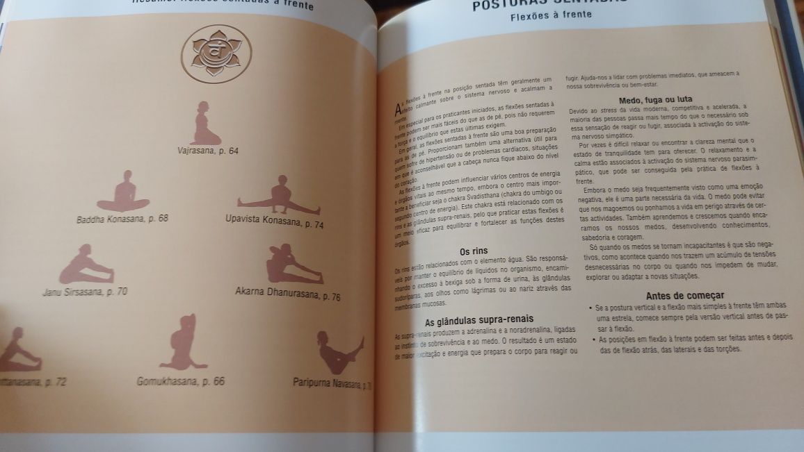 Manual Completo de Yoga de Noa Belling