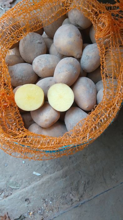 Ziemniaki Soraja kaliber 35/45