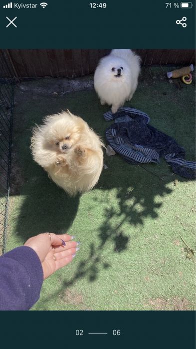 Супер мальчик пом