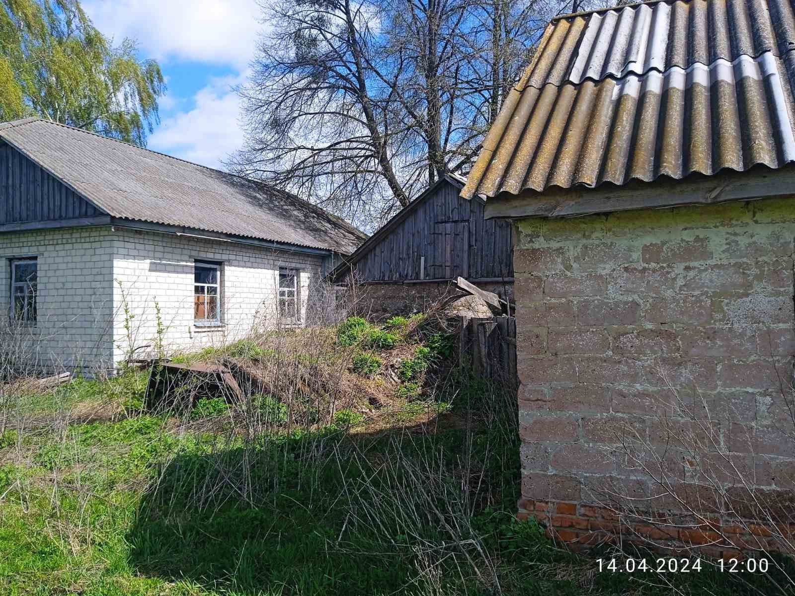 Продам дом с землёй 60 соток в селе Авдеевка Черниговская область