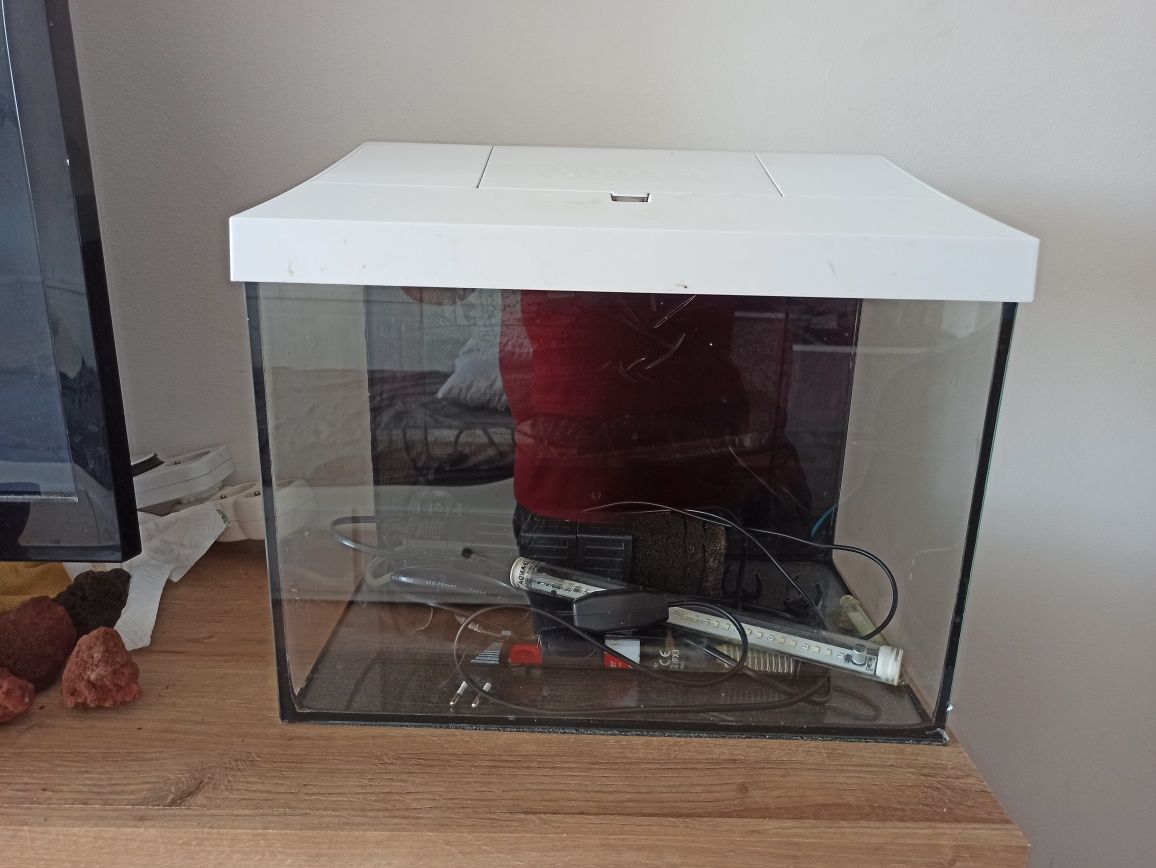 Akwarium 30 l z osprzętem