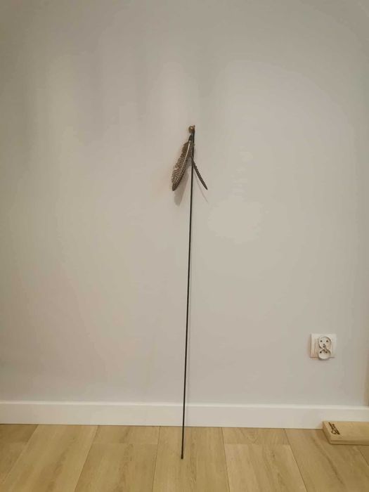 Teleskopowa wędka dla kota z piórkami