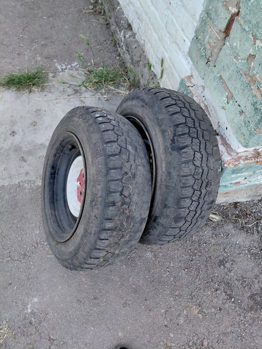 Розварки на жигу