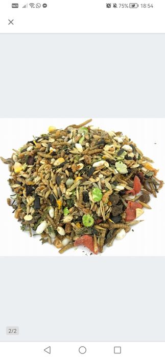 Pokarm dla chomika syryjskiego