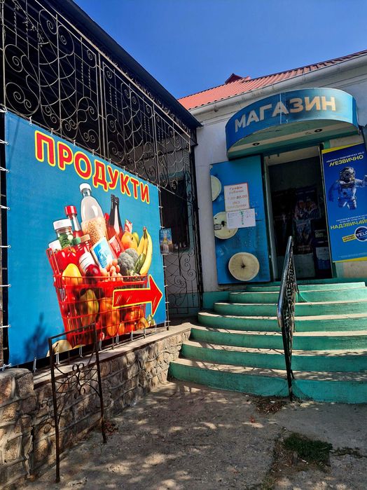 Продам готовый бизнес и дом в Терновке от хозяина