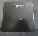 Brygada Kryzys - Brygada Kryzys płyta winylowa