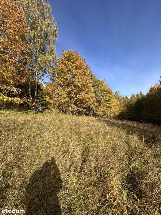 Działka w górach z decyzją o warunkach zabudowy, okolice Karpacza