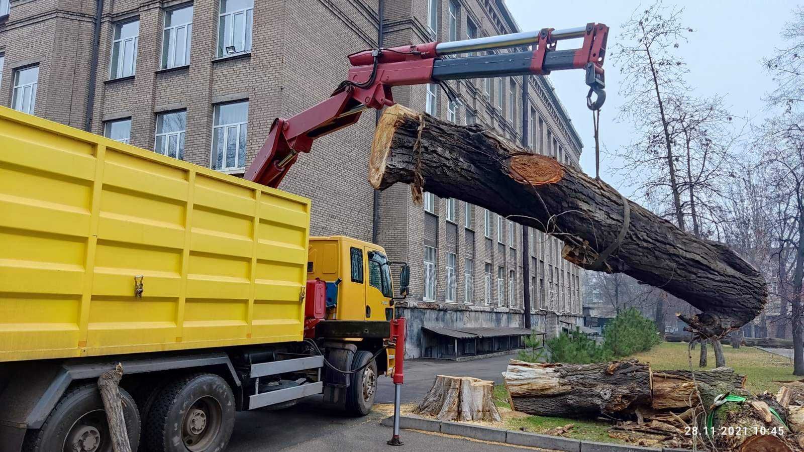 Послуги Маніпулятор - самоскид з грейферним ковшом в м. Кривий Ріг