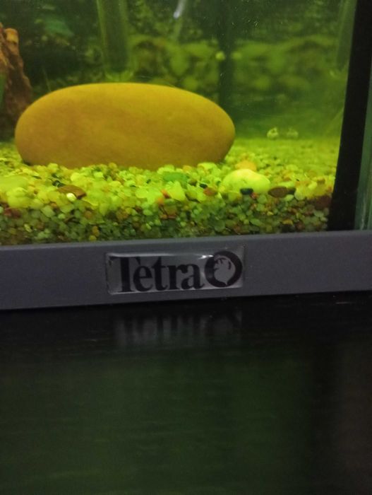 Akwarium Tetra LED 60L . Z całym wyposażeniem