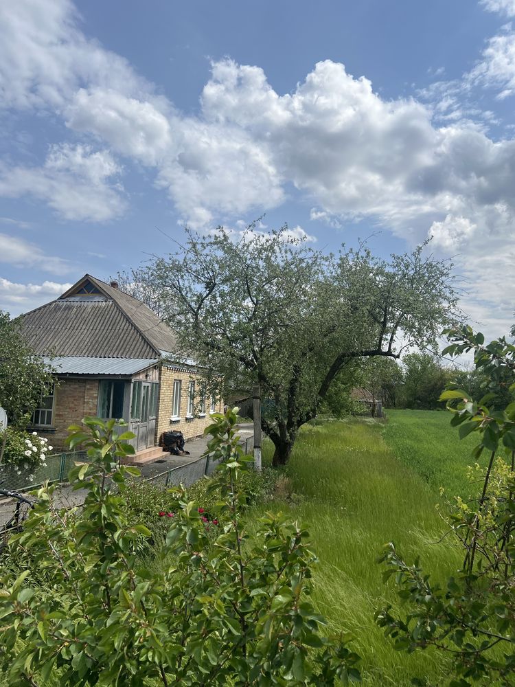 Продається будинок в с.Миропілля Черкаська обл.