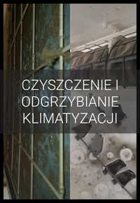 Przedsezonowe czyszczenie i odgrzybianie klimatyzacji (serwis)