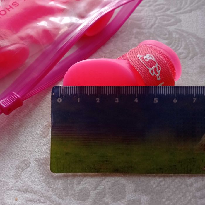 Buty, buciki jesienne dla małego psa