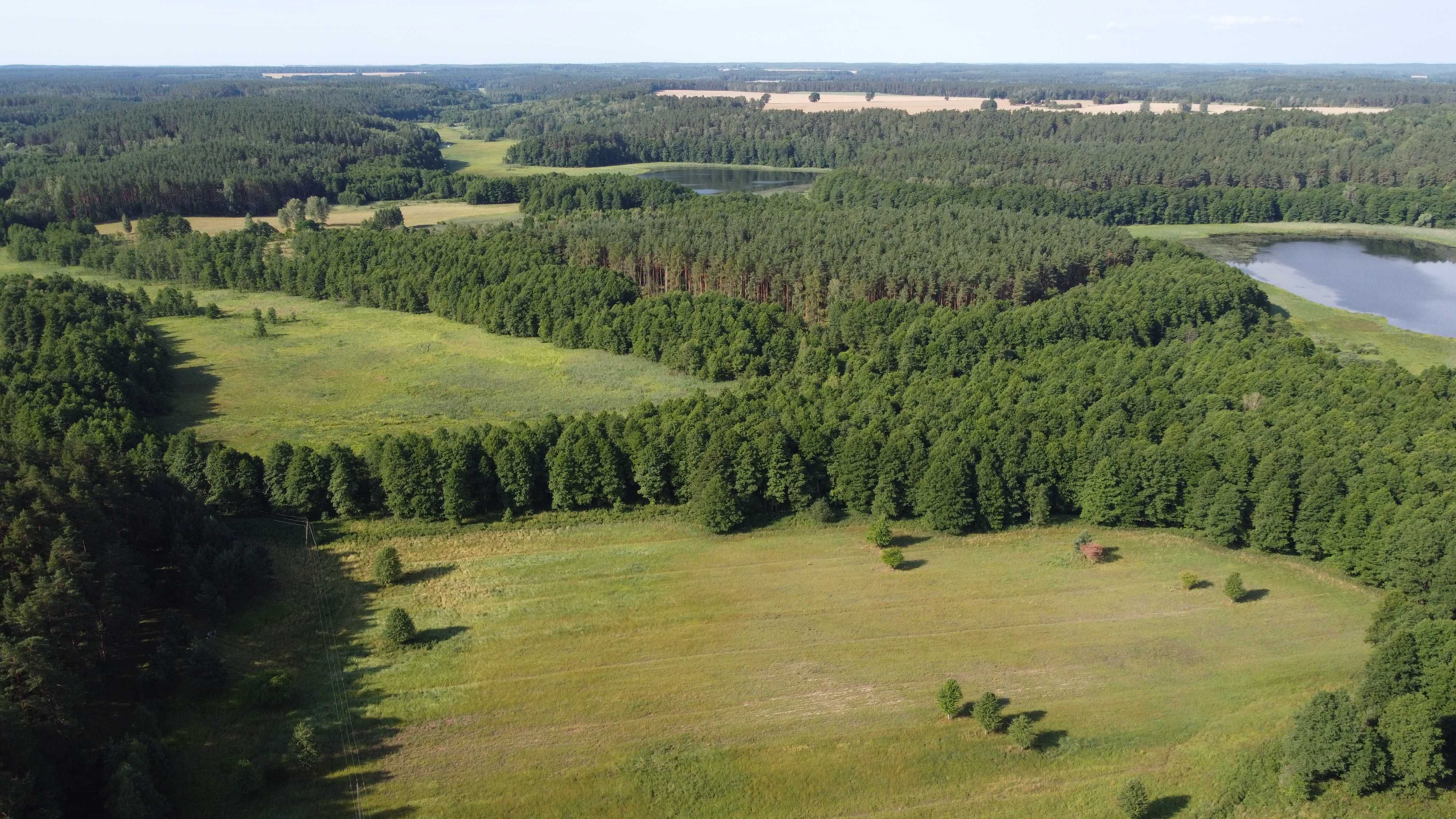 Działka w m. Likusy, 300m od linii brzegowej jeziora, Mazury.