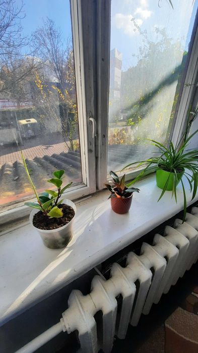 Продам 2-к квартиру, проспект Волі (біля Сітіпарку)