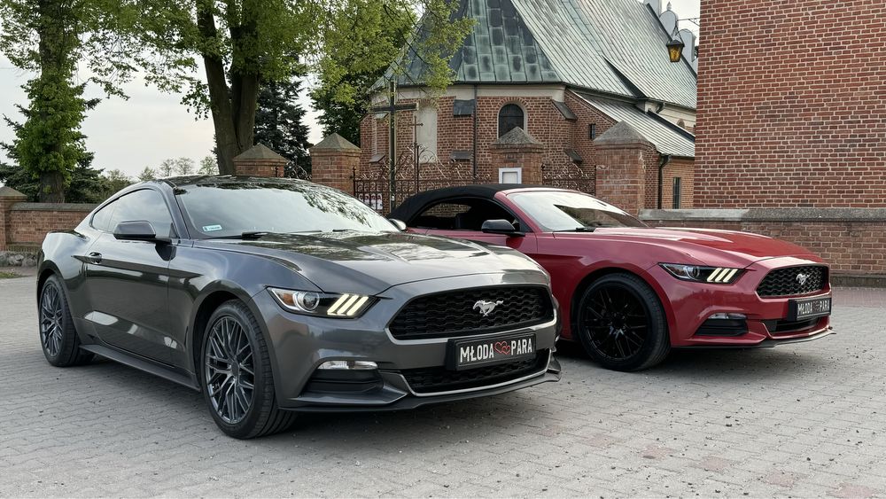 Auto do ślubu, ford Mustang, wynajem auta, samochód na wesele. Cabrio