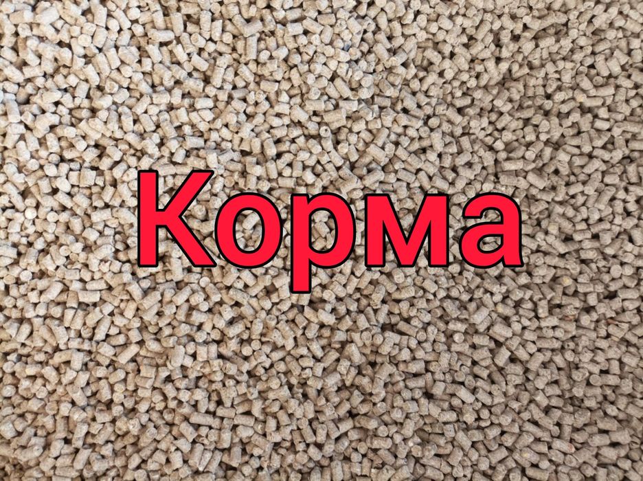 Комбикорм, кролик, бройлер, несушек, корм Одесса, зерно пшеницы