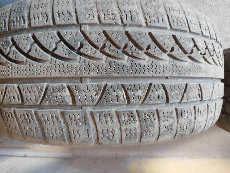 Petlas Snow Master W651 235/40 r18 (только самовывоз)