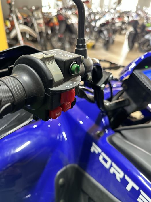 Квадроцикл Forte ATV 250 BS